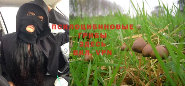 дмт Абаза
