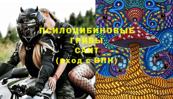 дмт Абаза